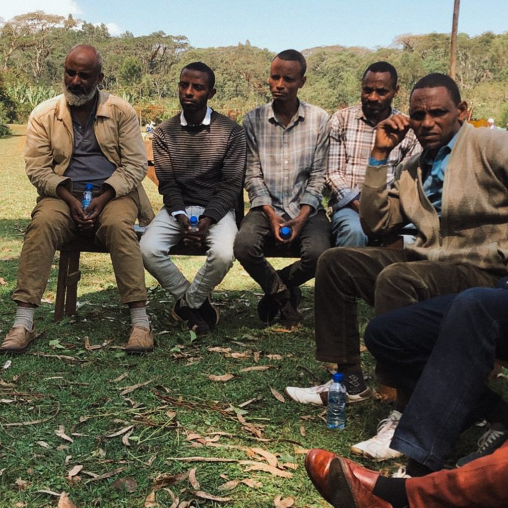 reindl-origin-jimma-chamomilla-13