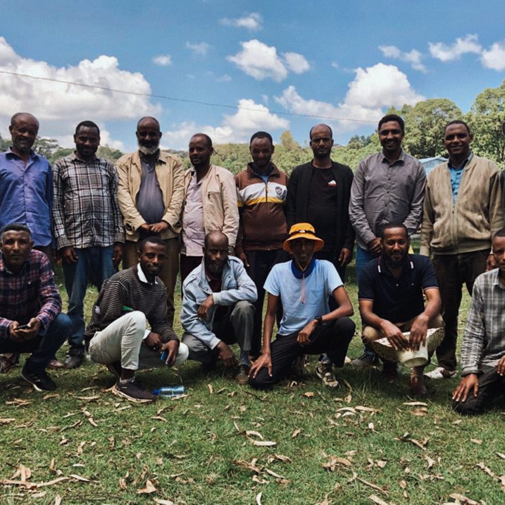 reindl-origin-jimma-chamomilla-16